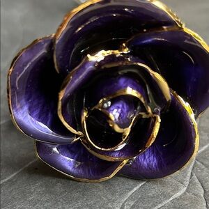 Steven Singer Rose dipped in gold